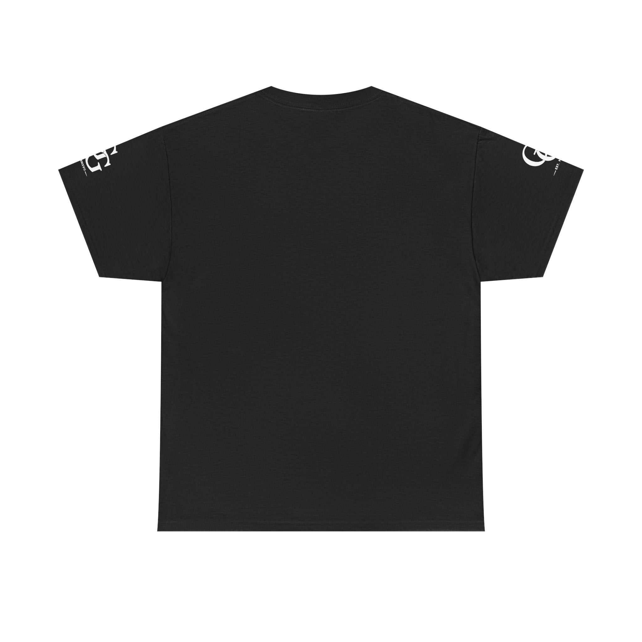 CHRIST IS KING – Christian Heavy Cotton T-Shirt