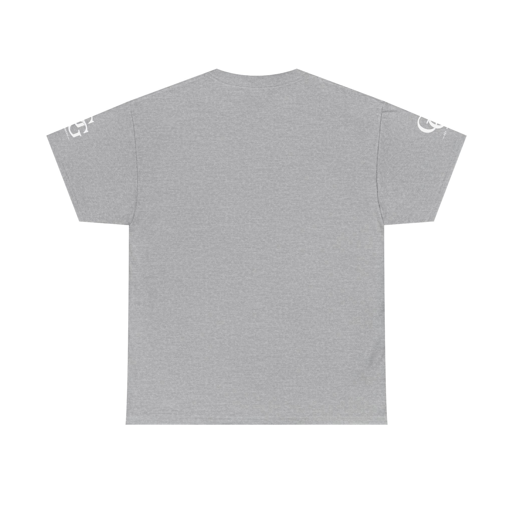 CHRIST IS KING – Christian Heavy Cotton T-Shirt